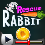 G4K Rescue Rabbit Game Walkthrough