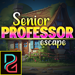 G4K Senior Professor Escape Game
