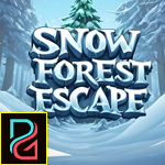 G4K Snow Forest Escape Game