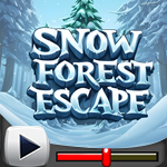 G4K Snow Forest Escape Game Walkthrough