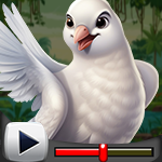 G4K Stylish Dove Rescue G…