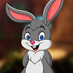G4K Successful Rabbit Escape Game