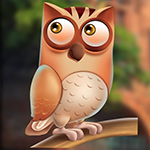 G4K Swish Owl Escape Game