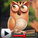 G4K Swish Owl Escape Game Walkthrough