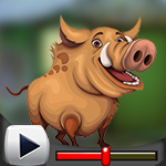 G4K Talented Wild boar Escape Game Walkthrough