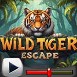 G4K Wild Tiger Escape Game Walkthrough