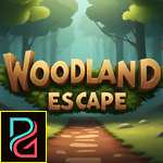 G4K Woodland Escape Game