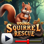 G4K Young Squirrel Rescue Game Walkthrough