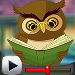 G4K Expound Owl Escape Game Walkthrough