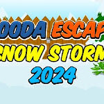 SD Hooda Escape Snow Storm 2024