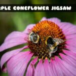 G2M Purple Coneflower Jigsaw