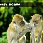 G2M Monkey Jigsaw