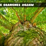 G2M Tree Branches Jigsaw