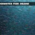 G2M Underwater Fish Jigsaw