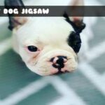 8B Pet Dog Jigsaw