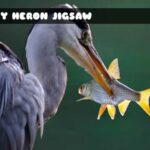 G2M Grey Heron Jigsaw
