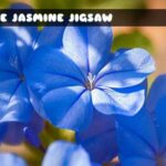 G2M Blue Jasmine Jigsaw
