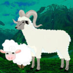 HOG-Help The Baby Sheep