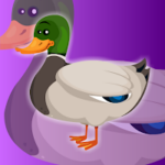G2J Help The Baby Mallard Duck